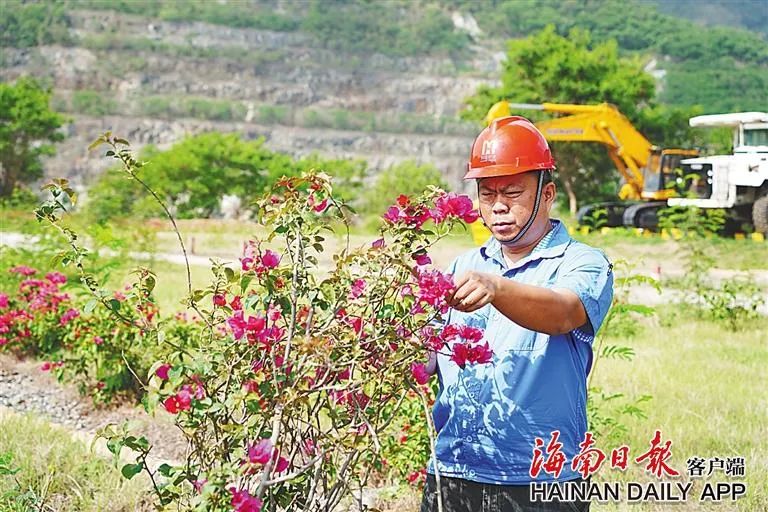 1717063485972696.jpg 海南这座矿山,为何这么绿?4.jpg